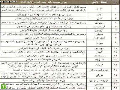 الحمض الاميني و الدور الذي يؤديه داخل النباتات 