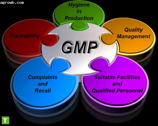 نظام # كامل#  لأساليب# التصنيع الجيدة# GMP#