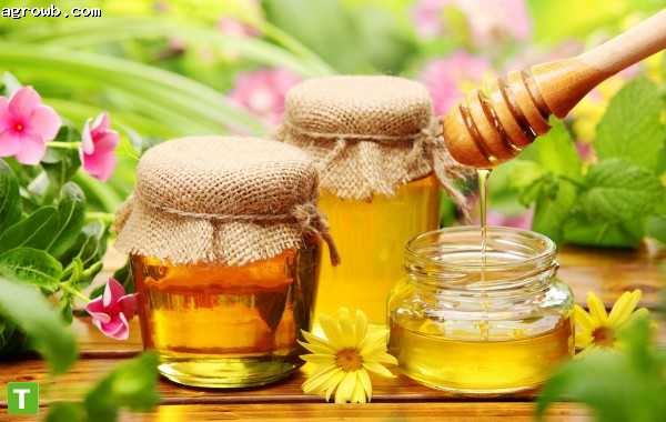 عسل النحل كمحفز للمناعة للوقاية من فيروس كورونا